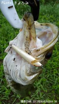 �����Х�