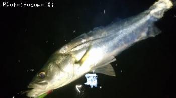 �����Х�