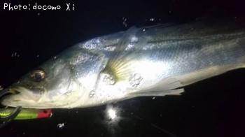 �����Х�