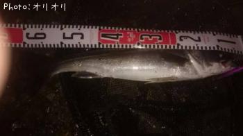 �����Х�