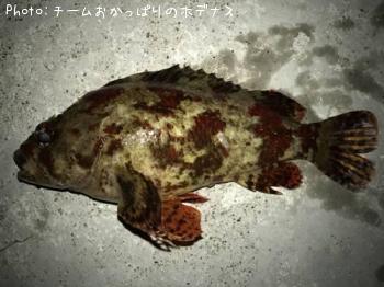 �������Х�