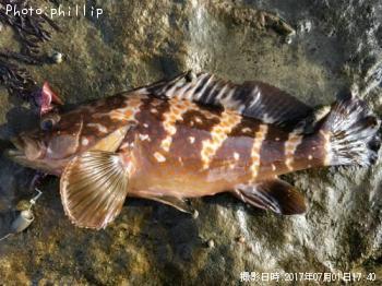 �����ϥ�