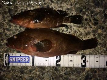 �����ϥ�