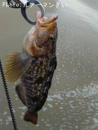 �����ʥ�