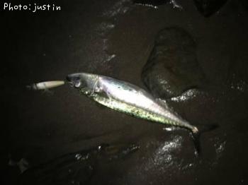 ���Ф���