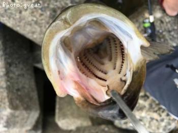 �����Х�