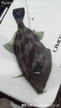 ���ޥ���ϥ�