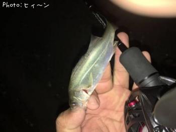 �����Х�