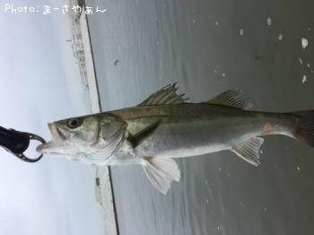 �����Х�