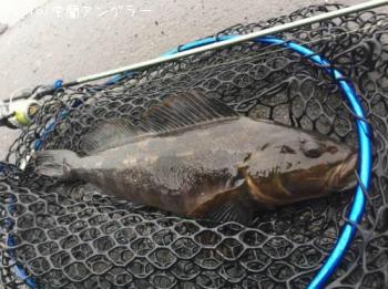 �����ʥ�