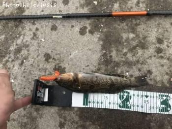 �����ʥ�