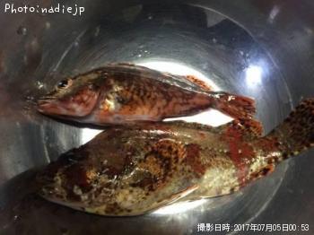 �������Х�ȥ�������