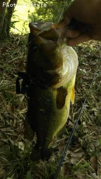 �֥�å��Х�