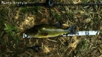 �֥�å��Х�