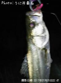 �����Х�