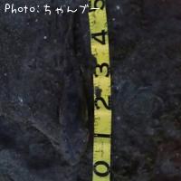 �ޥ���