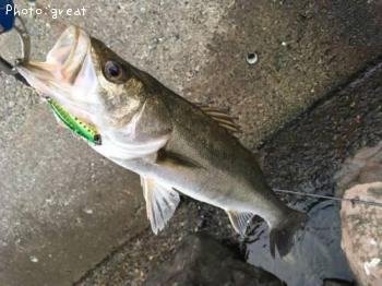 �����Х�