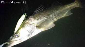 �����Х�