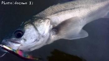 �����Х�