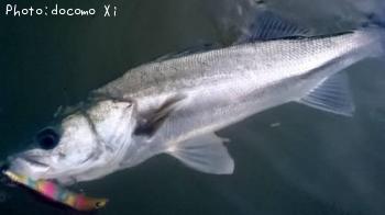 �����Х�