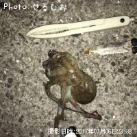 �ޥ���