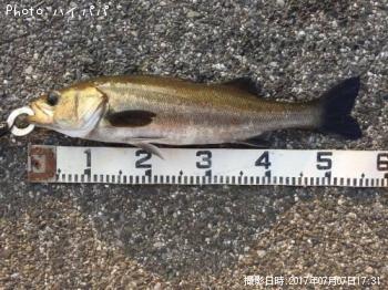 �����Х�