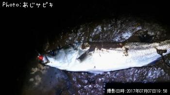 �����Х�