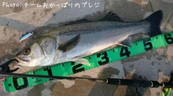 �����Х�