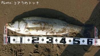 �����Х�