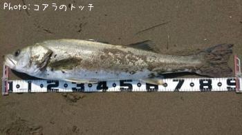 �����Х�