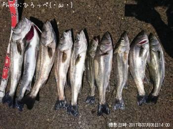 �����Х�