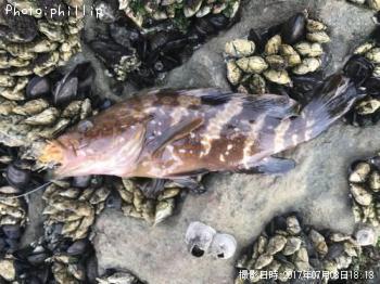 �����ϥ�