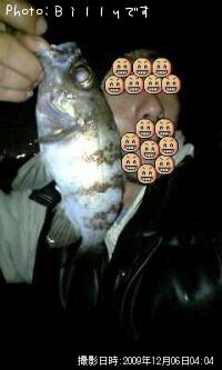 ¥á¥Ð¥ë