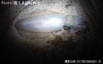 �����ꥤ��