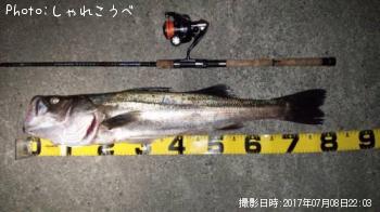 �����Х�