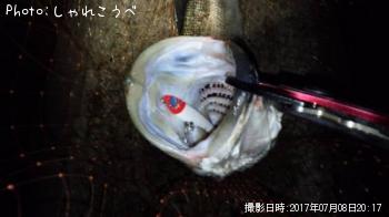 �����Х�