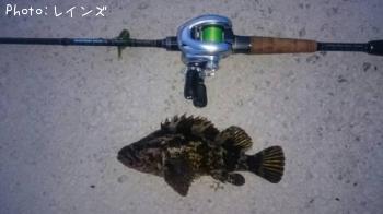 �����Υ���Х�