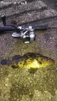 �����Υ���Х�