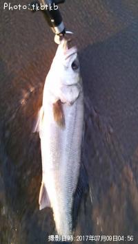 �����Х�