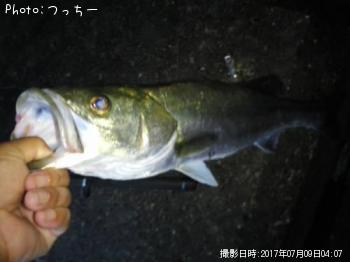 �����Х�