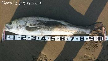 �����Х�