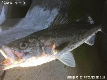 �����Х�