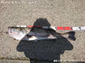 �����Х�