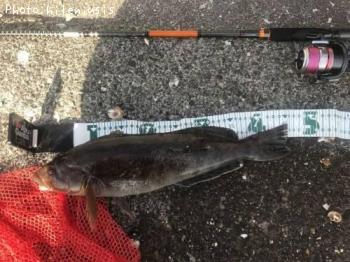 �����ʥ�