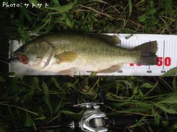 �֥�å��Х�