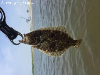 �ҥ������