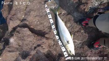 ��饵