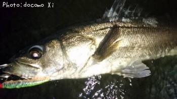 �����Х�