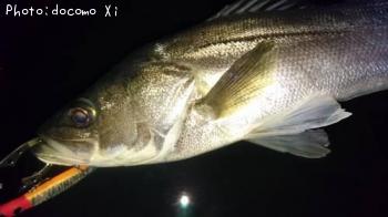 �����Х�