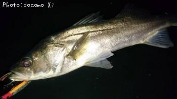 �����Х�